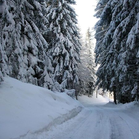 Beautiful Holiday Apartment In A Renovated Farmhouse In Fresach Carinthia 외부 사진